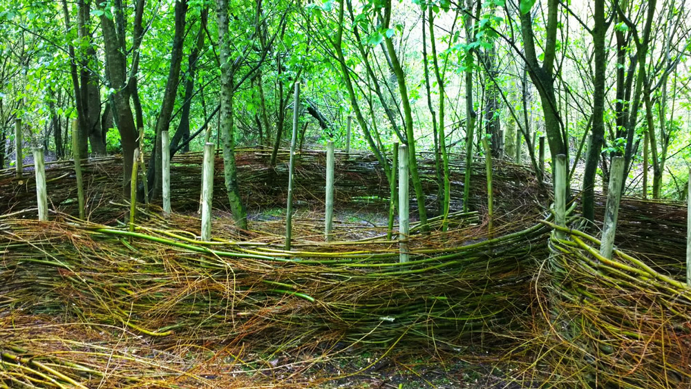 The willow tree houses are starting to take shape. Photo: Axel Hilleskog