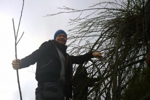 Axel Thorén from the Swedish University of Agricultural Science in Alnarp was one of those taking part in building the tree houses. Photo: Axel Hilleskog